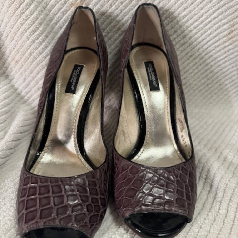 Dolce & Gabbana Alligator Pumps